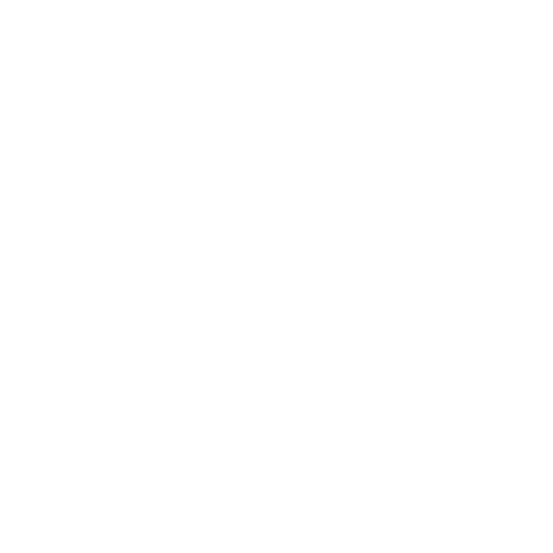 Videatur - logo